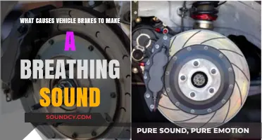 Unraveling the Mystery: Why Your Vehicle Brakes Sound Like They're Breathing