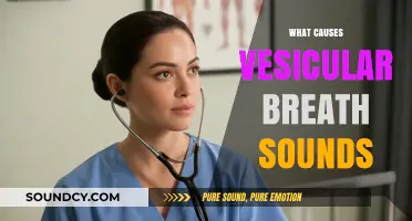 Understanding Vesicular Breath Sounds: Causes and Clinical Significance Explained