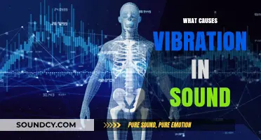Understanding the Science Behind Vibrations in Sound Production