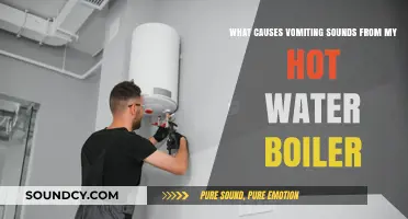 Why Your Hot Water Boiler Makes Vomiting Noises: A Simple Guide