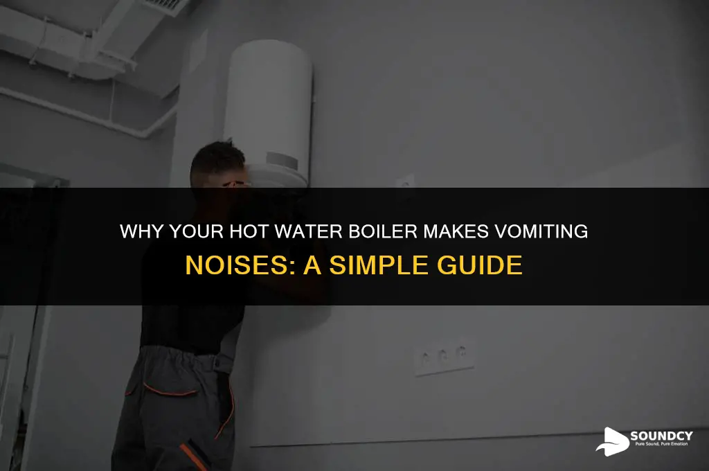 what causes vomiting sounds from my hot water boiler