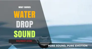 Unraveling the Science Behind the Soothing Water Drop Sound