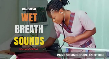 Understanding Wet Breath Sounds: Causes and What They Indicate