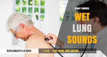 Understanding Wet Lung Sounds: Causes and Clinical Implications Explained