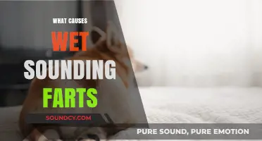 Why Do Farts Sound Wet? Exploring the Causes and Science
