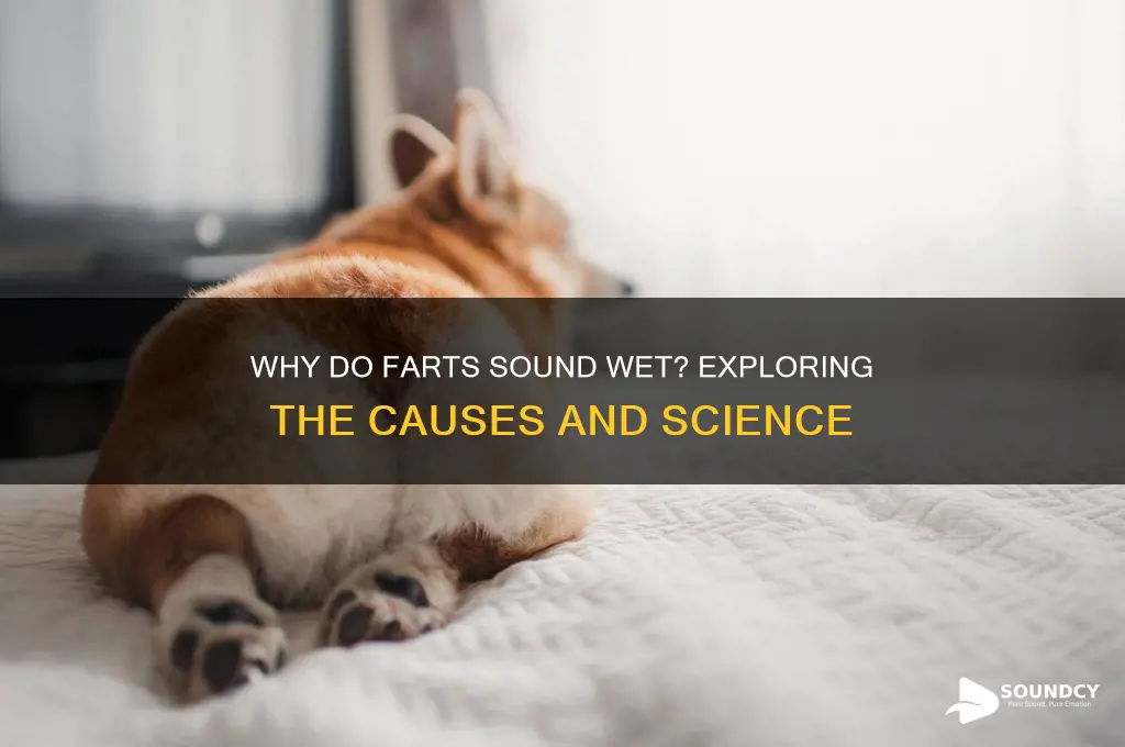 what causes wet sounding farts