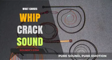 Unraveling the Science Behind the Whip Crack Sound Phenomenon