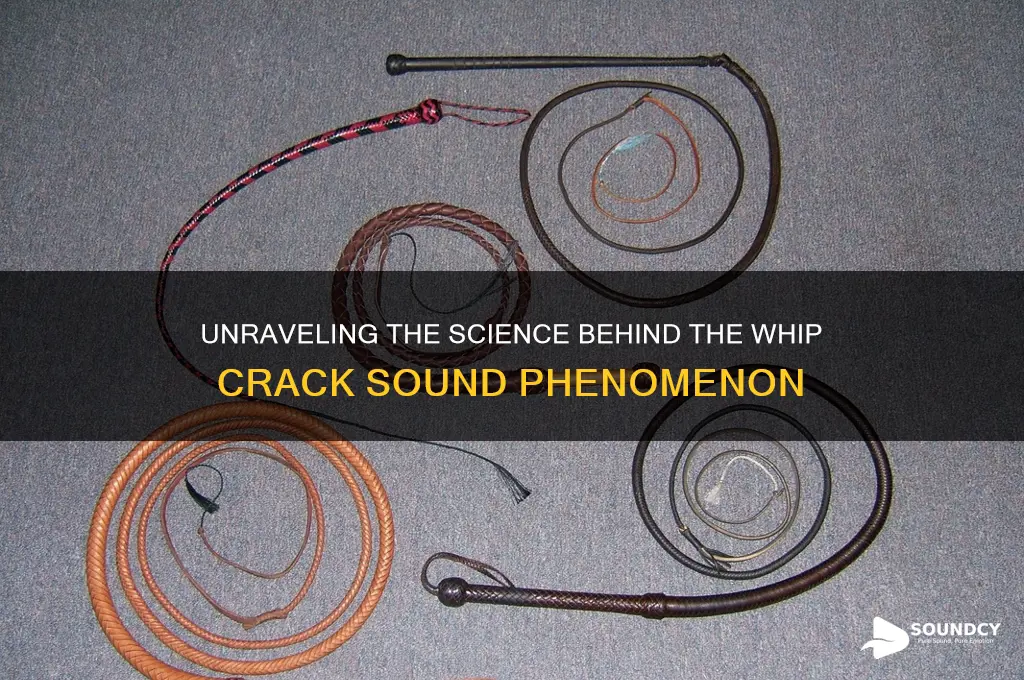 what causes whip crack sound