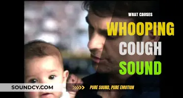Understanding Whooping Cough: Causes of the Distinctive Respiratory Sound