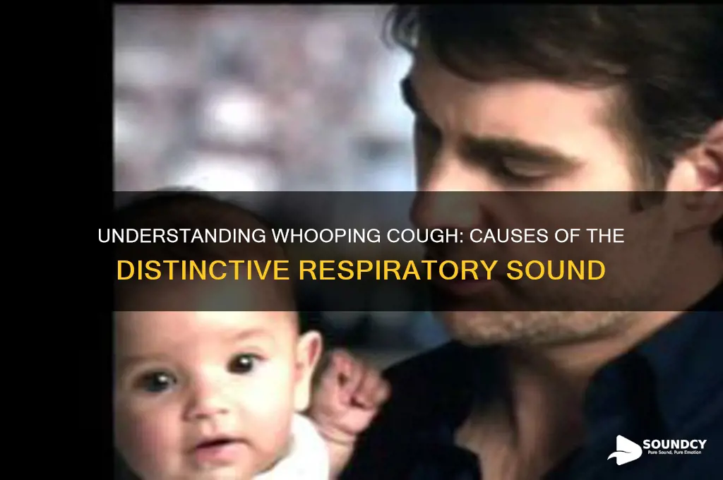 what causes whooping cough sound