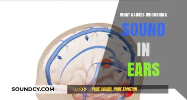Whooshing in Ears: What's the Deal?