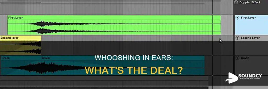 what causes whooshing sound in ears