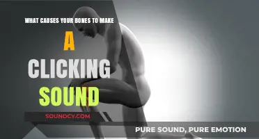 Understanding the Reasons Behind Your Bones' Clicking Sounds