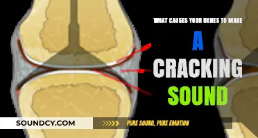 Unraveling the Mystery: Why Do Our Bones Crack and Pop?
