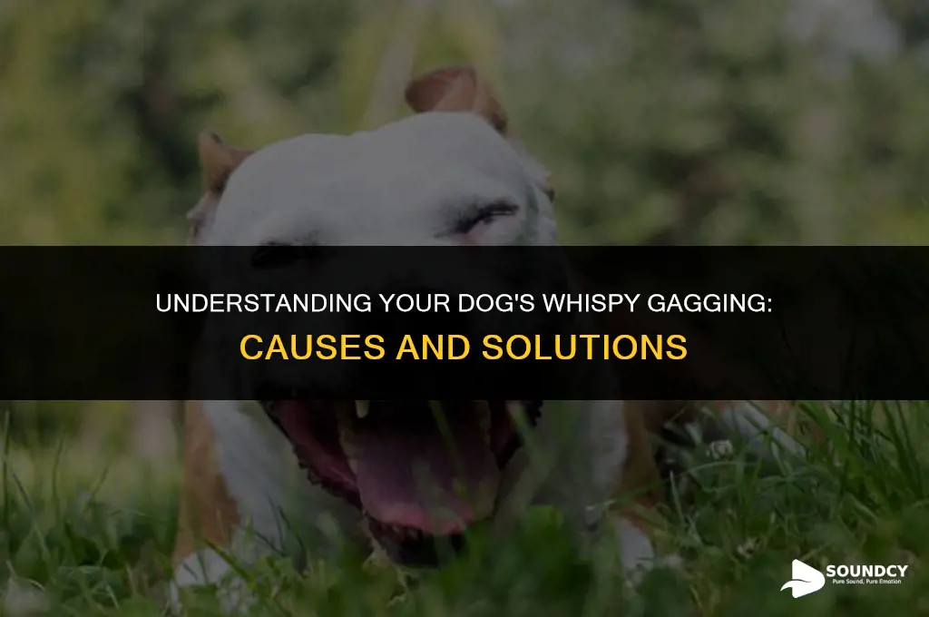 what causes your dog to sound whispy and gagging