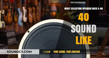 Exploring the Sonic Signature of Celestion's 40-Watt Speaker