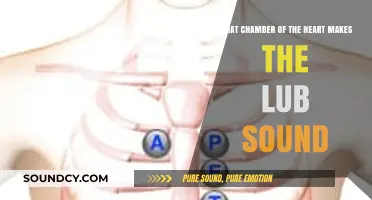 The Lub Sound: Which Chamber of the Heart Creates It?