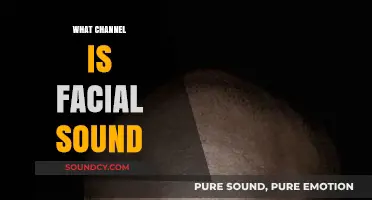 Exploring the Channel for Facial Sounds: A Comprehensive Guide
