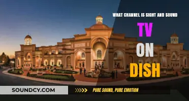 Where to Find Sight and Sound TV on Dish Network