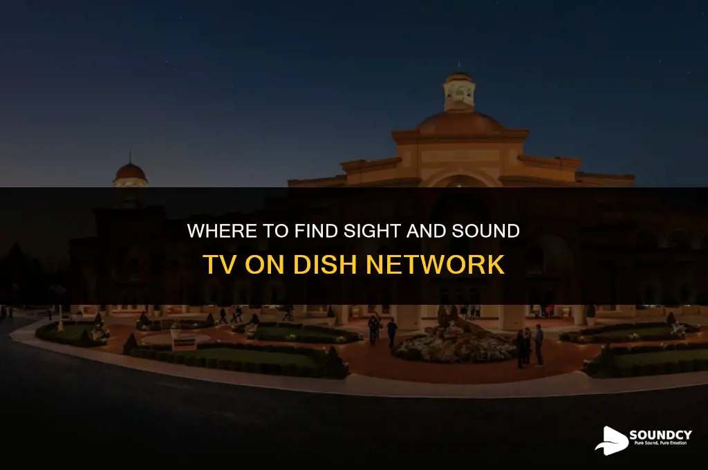 what channel is sight and sound tv on dish