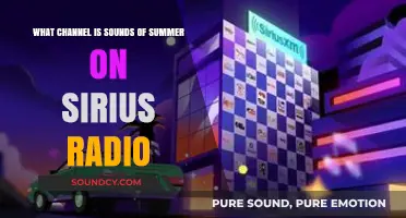 Tune In to Sirius Radio for the Ultimate Summer Soundtrack