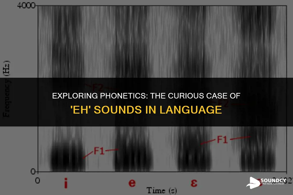 what character over e will make an eh sound