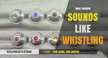 Unraveling the Unique Whistle-Like Sounds of Clucking Chickens