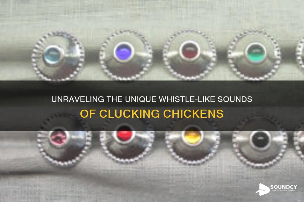 what chicken sounds like whistling