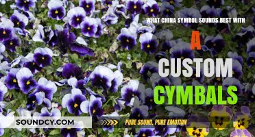 Exploring Sonic Harmony: Custom Cymbals and Chinese Symbolism