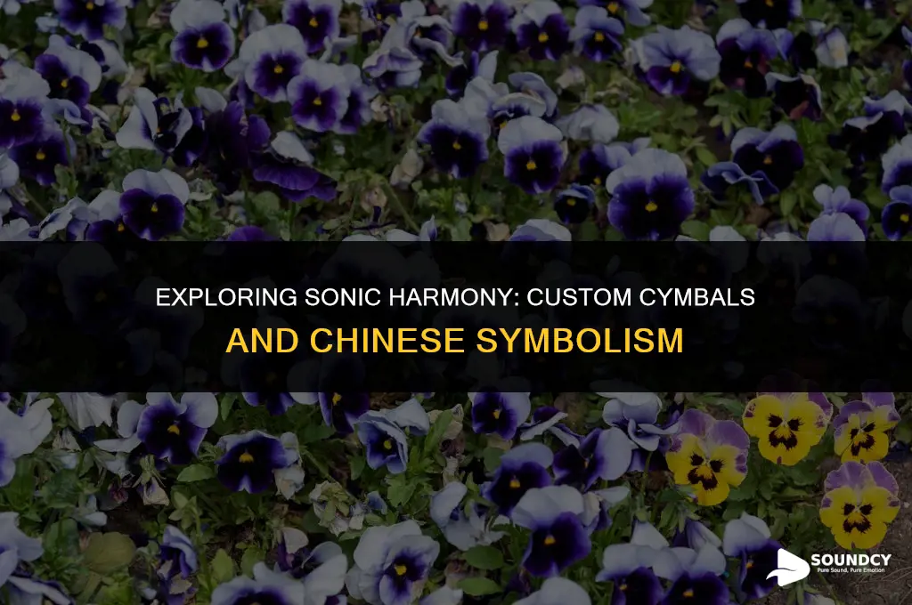 what china symbol sounds best with a custom cymbals