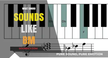 Exploring Chords Similar to B Minor: Harmonic Alternatives and Sound-Alikes