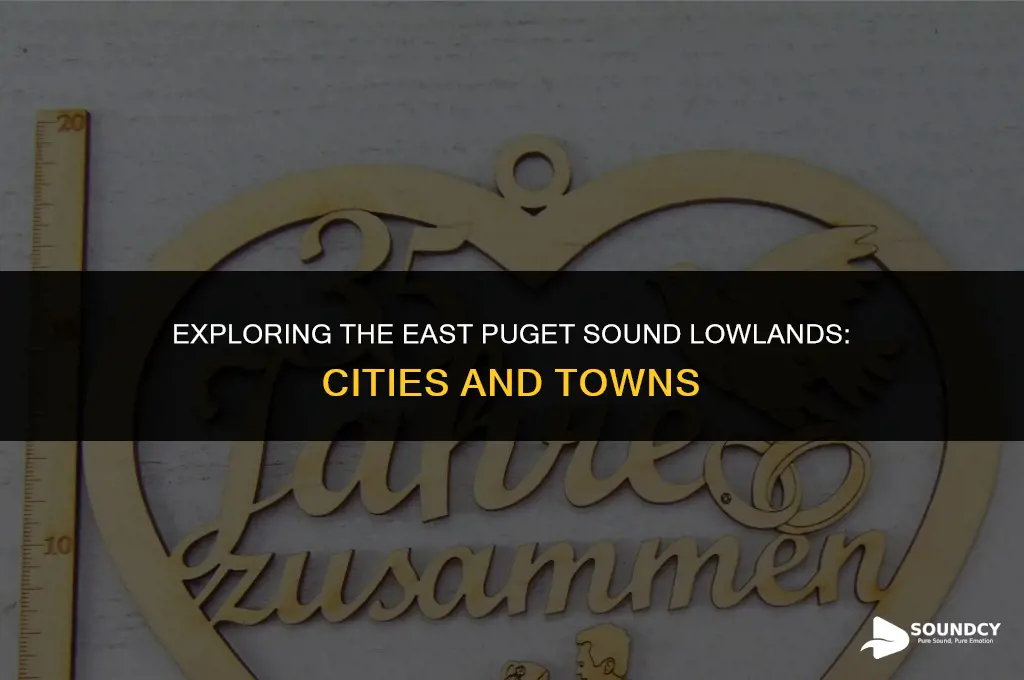 what cities are in the east puget sound lowlands
