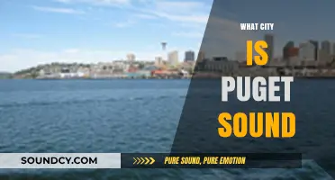 Exploring Puget Sound: Unveiling the City at Its Heart