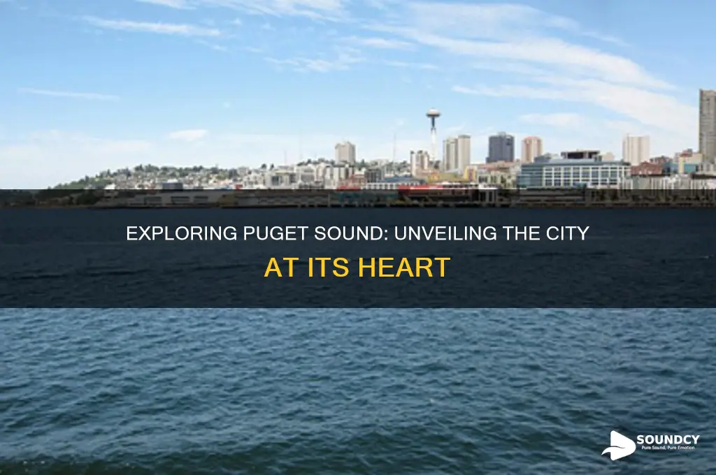 what city is puget sound