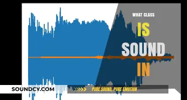Understanding Sound Classification: Exploring Its Physical and Scientific Category