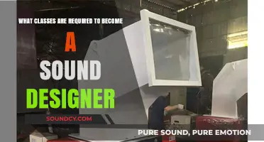 Pathways to Sonic Mastery: Essential Classes for Aspiring Sound Designers