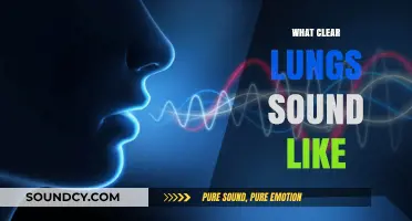 Understanding Healthy Breathing: What Clear Lungs Sound Like Explained
