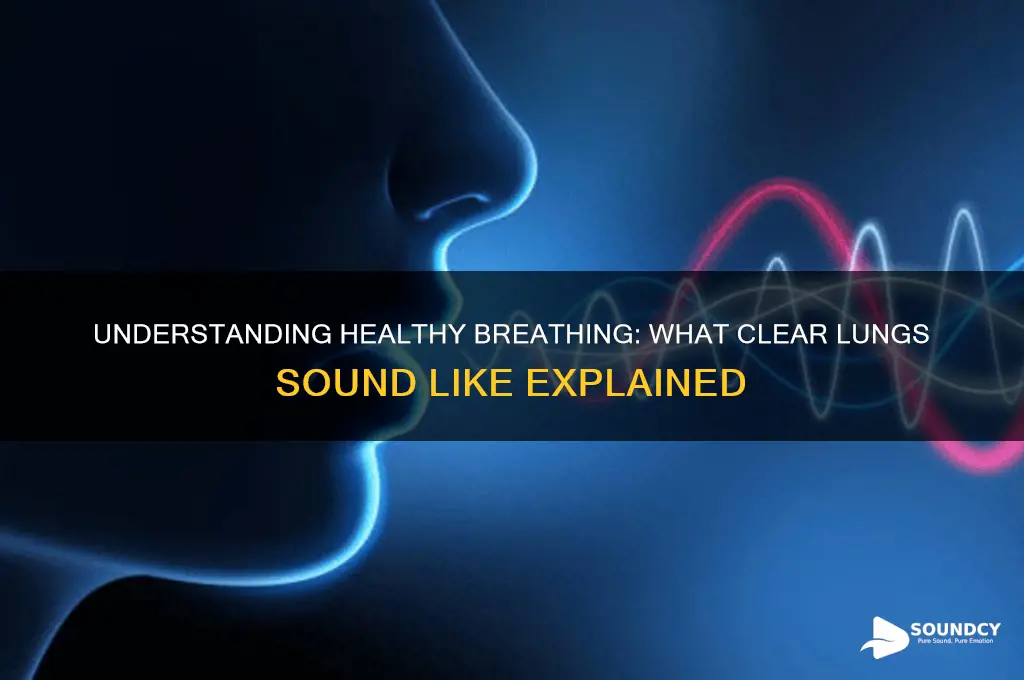 what clear lungs sound like