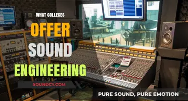Top Colleges Offering Sound Engineering Programs for Aspiring Audio Professionals