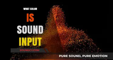Exploring the Color of Sound: How Audio Input Translates Visually
