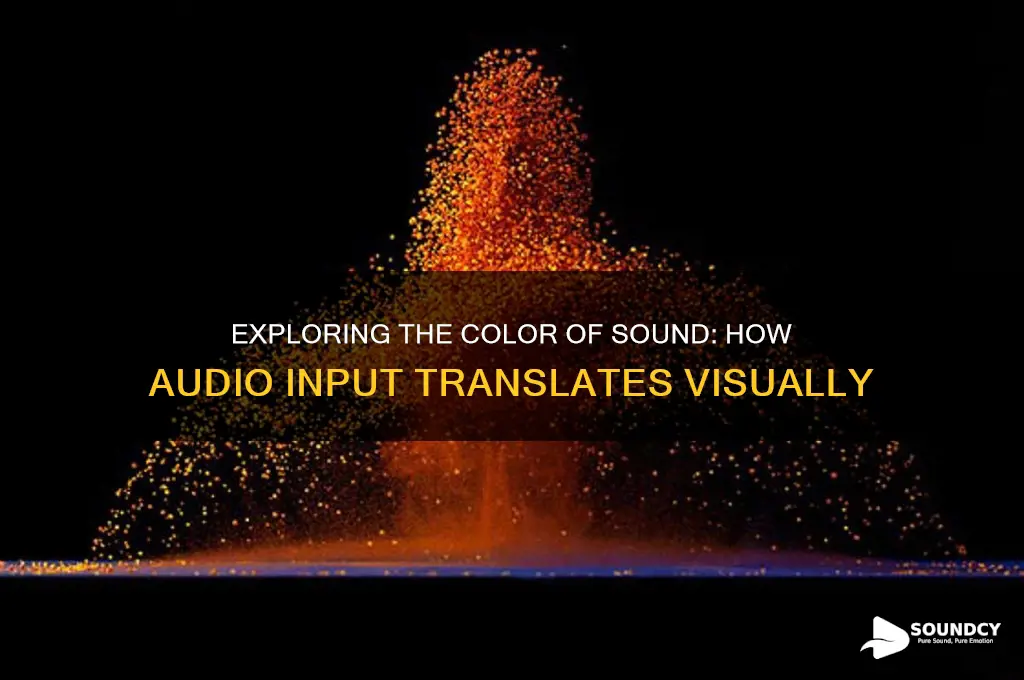 what color is sound input