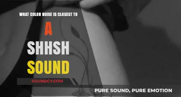 Exploring the Spectrum: Which Color Noise Mimics a Shushing Sound?