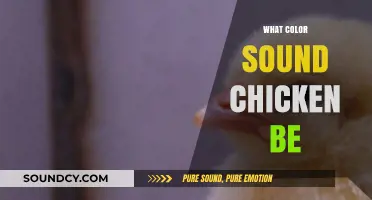 What Color Should a Chicken Be? Exploring the Sounds of Poultry
