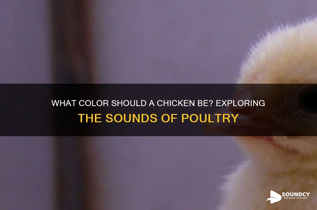 what color sound chicken be