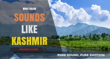Kashmir's Sonic Palette: Exploring the Colorful Sounds of the Valley