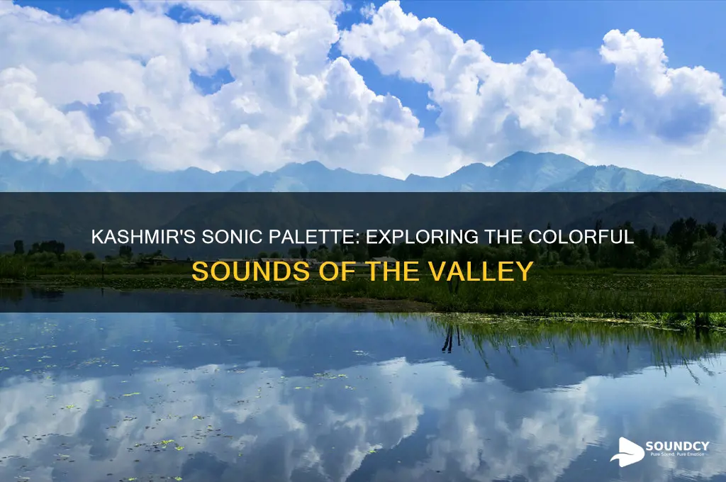 what color sounds like kashmir