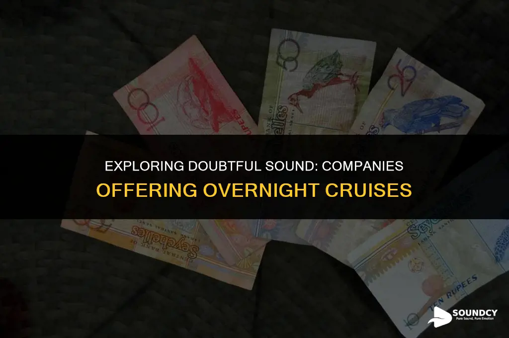what companies do an overnight cruise on doubtful sound