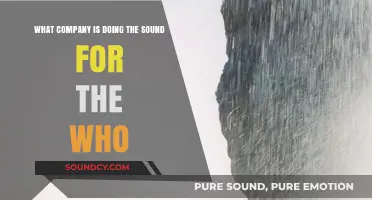 Who's Behind the Who's Sound: A Sonic Partnership Unveiled