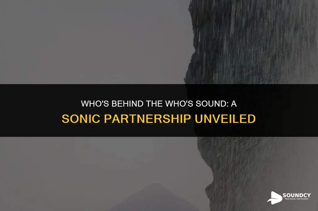 what company is doing the sound for the who