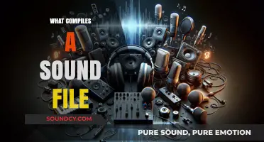 Understanding the Components That Compile a Sound File
